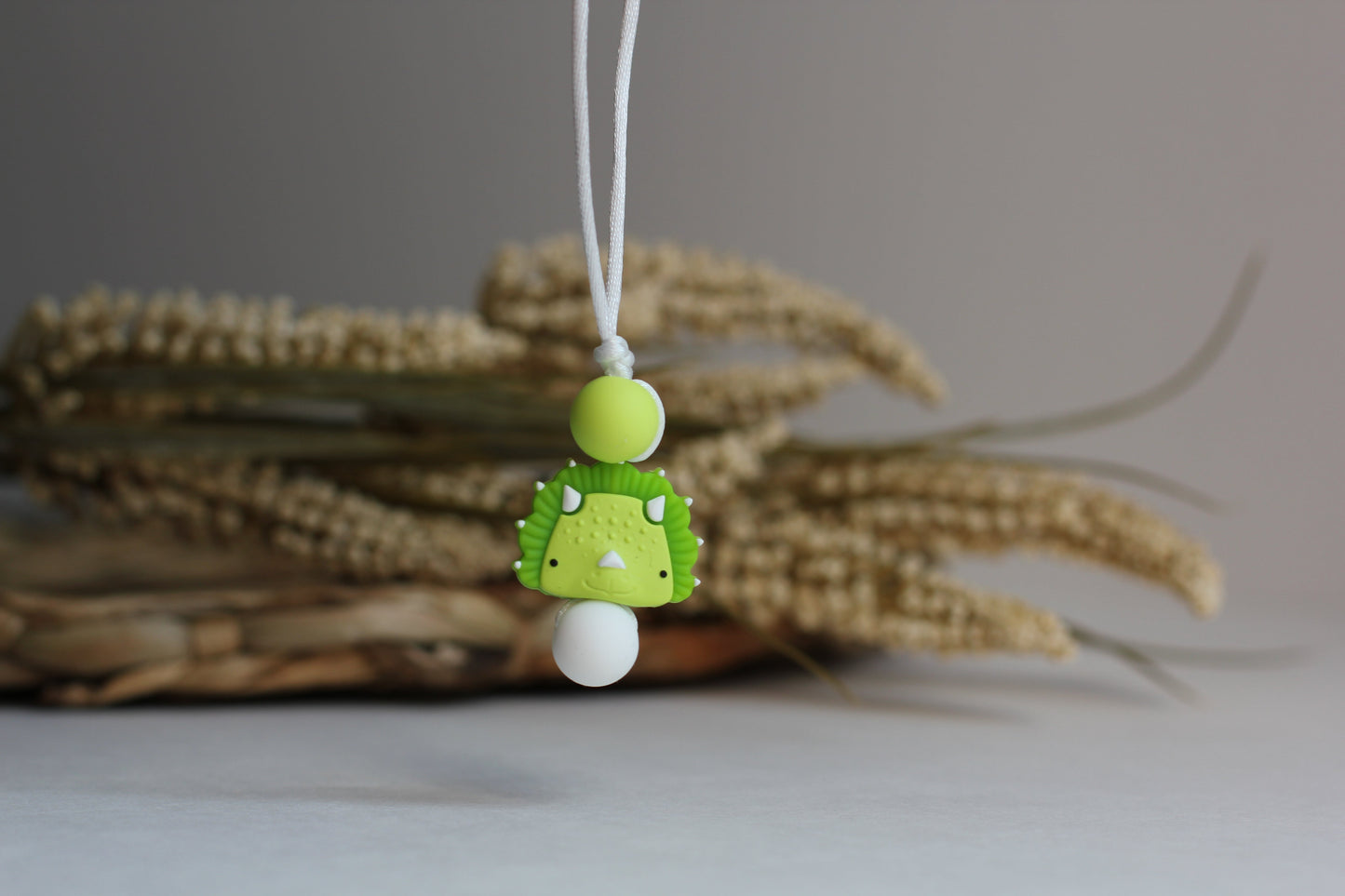 Amizip | Tricératops