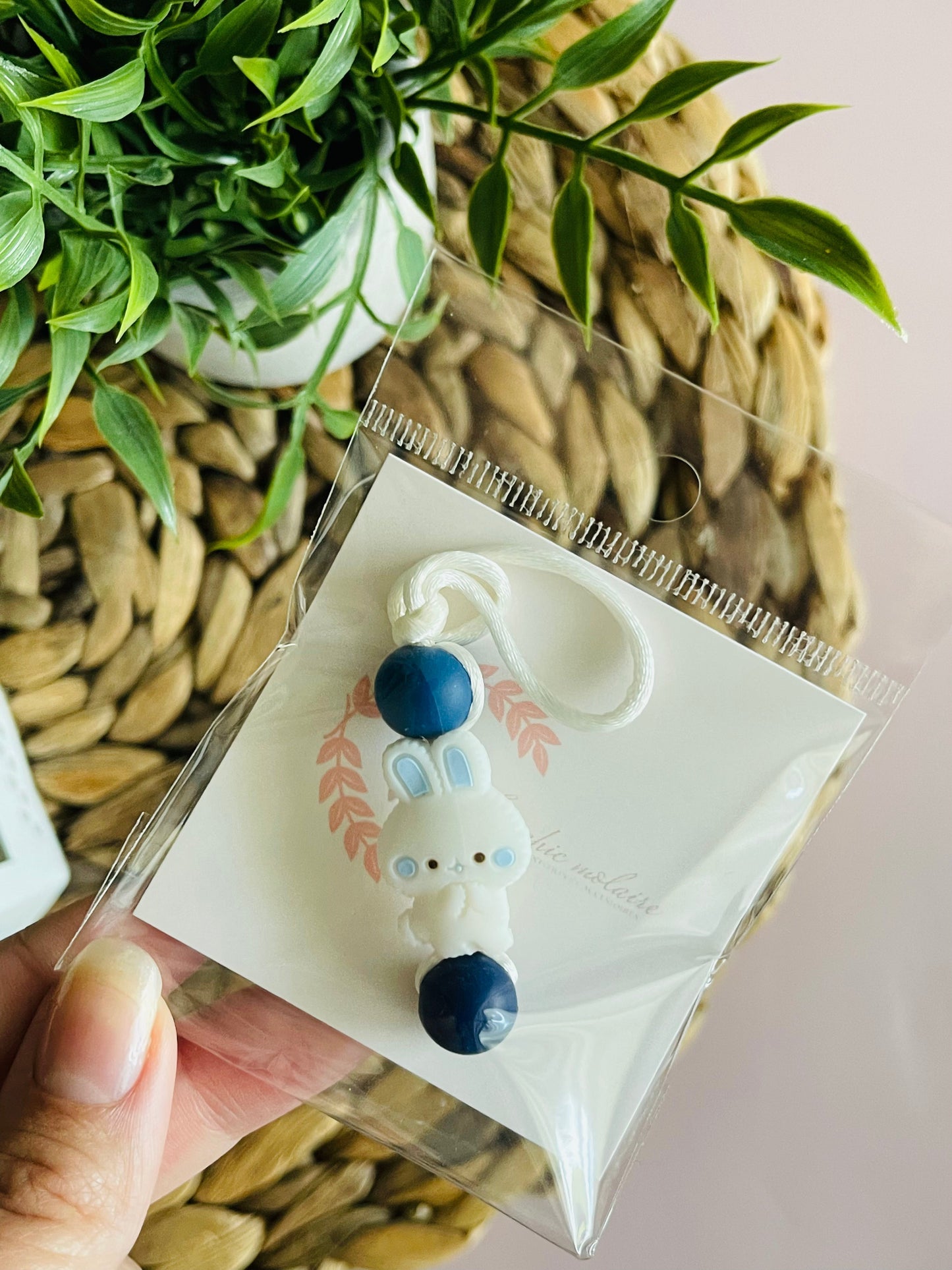 Amizip | Lapin Marin