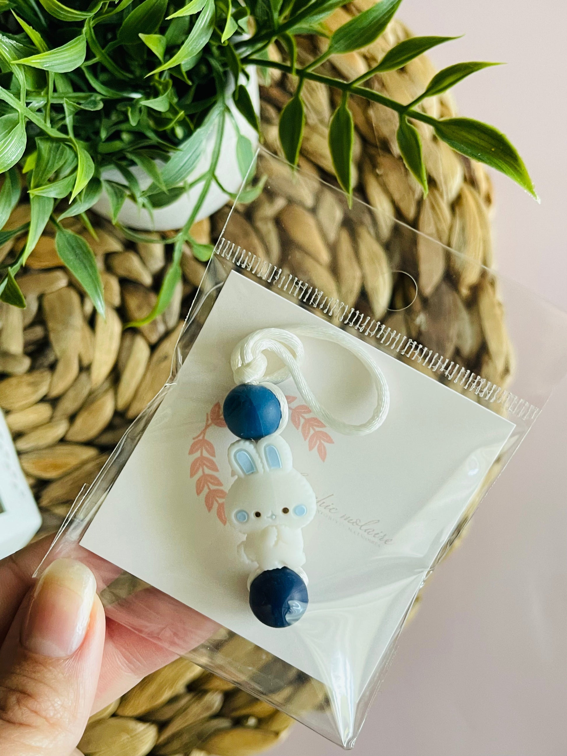 Amizip | Lapin Marin